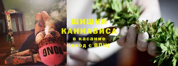 молекула духа Богородицк