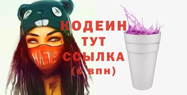 молекула духа Богородицк