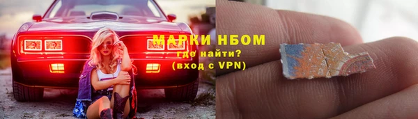 молекула духа Богородицк