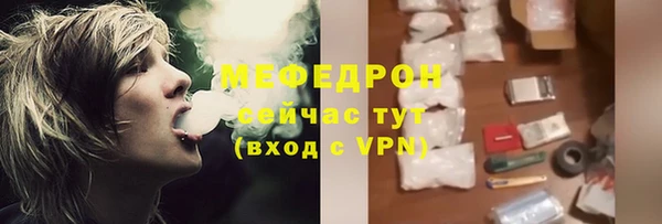молекула духа Богородицк