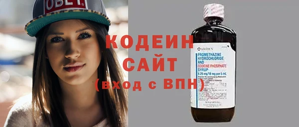 молекула духа Богородицк