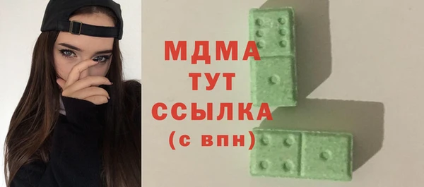 молекула духа Богородицк