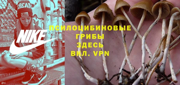 молекула духа Богородицк