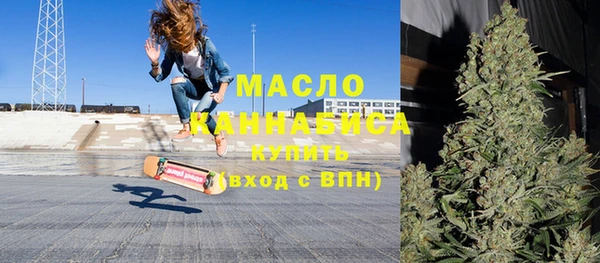 молекула духа Богородицк