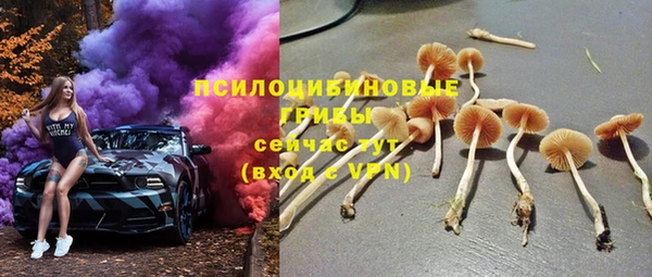 тгк Богданович