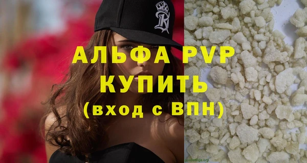 молекула духа Богородицк