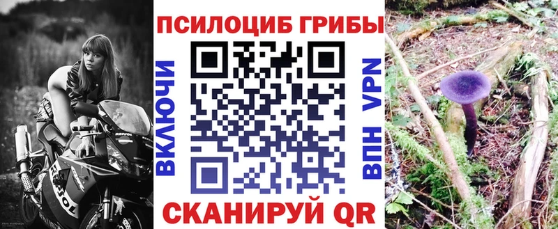 Галлюциногенные грибы Cubensis  Новотитаровская 